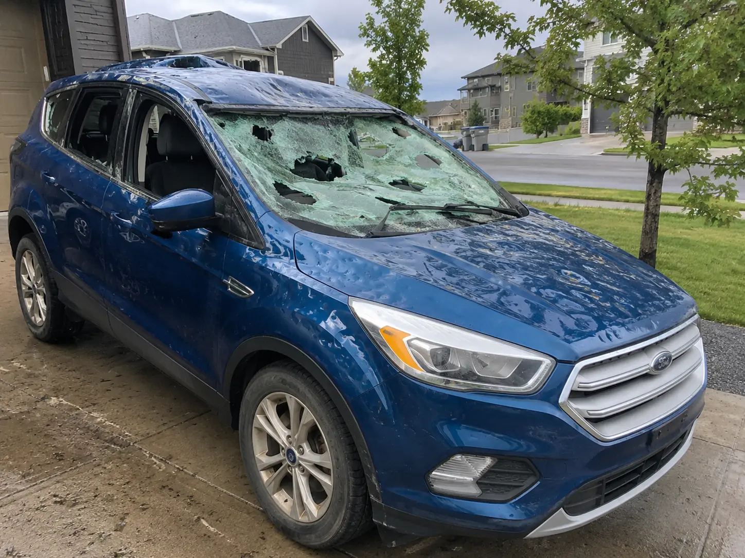2019 Ford Escape write-off scrapped in Three Sisters Canmore Alberta